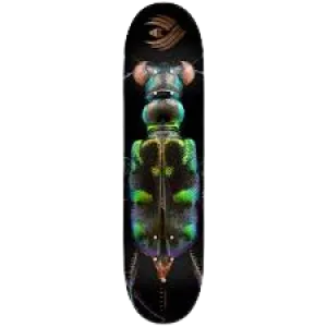 8.25″ Powell Peralta BISS Tiger Beetle