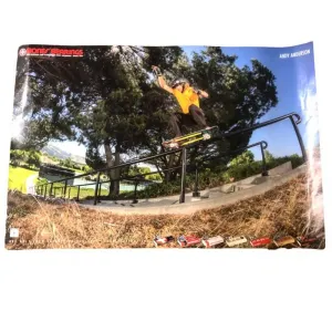 Bones Bearings 36" x 24" Andy Anderson Poster