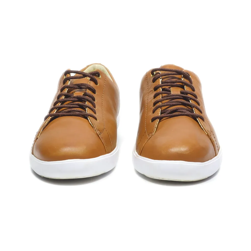Cole Haan Low-Top Sneakers Leather Brown Colour For Women