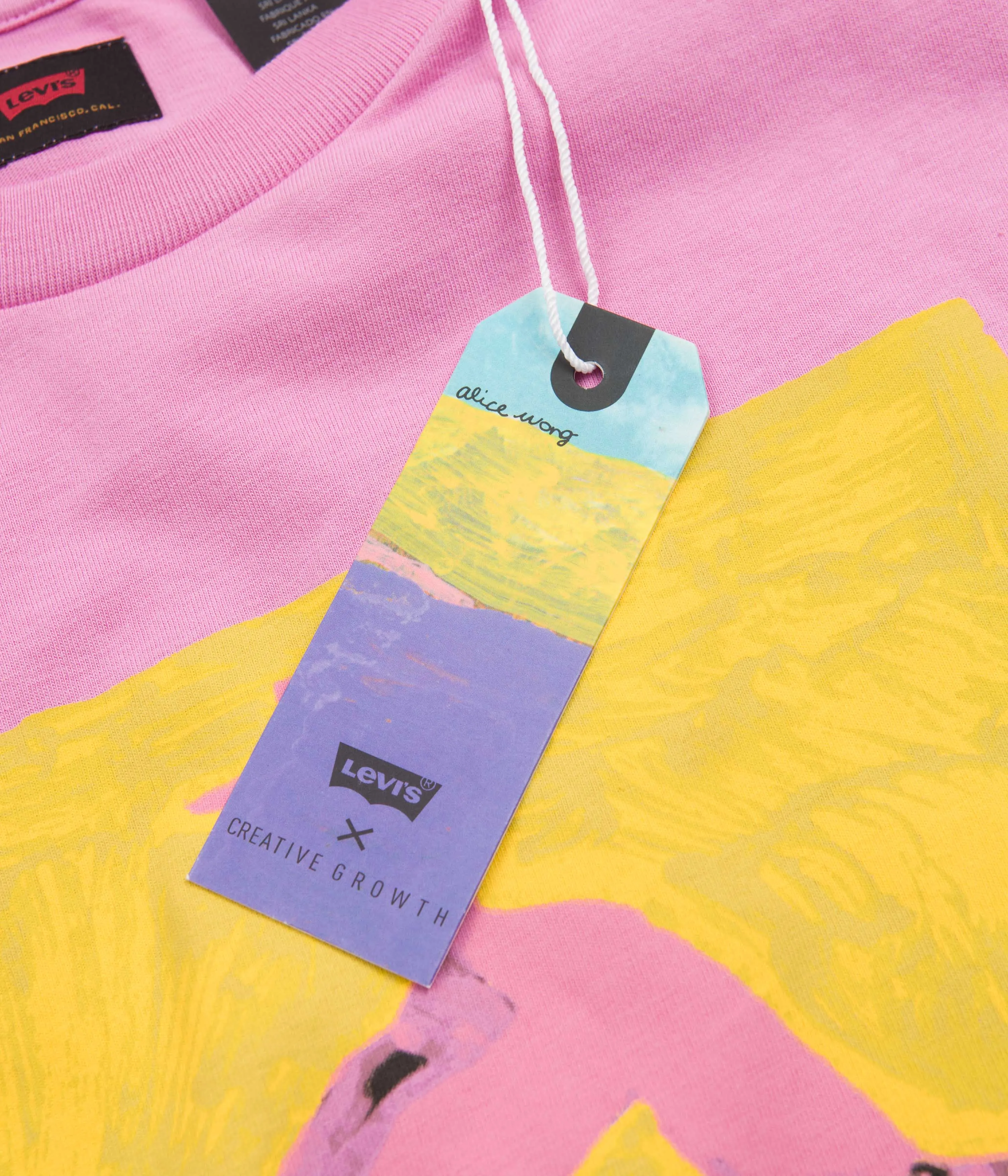 Levi's® Skate Painted Rabbit T-Shirt - Pink