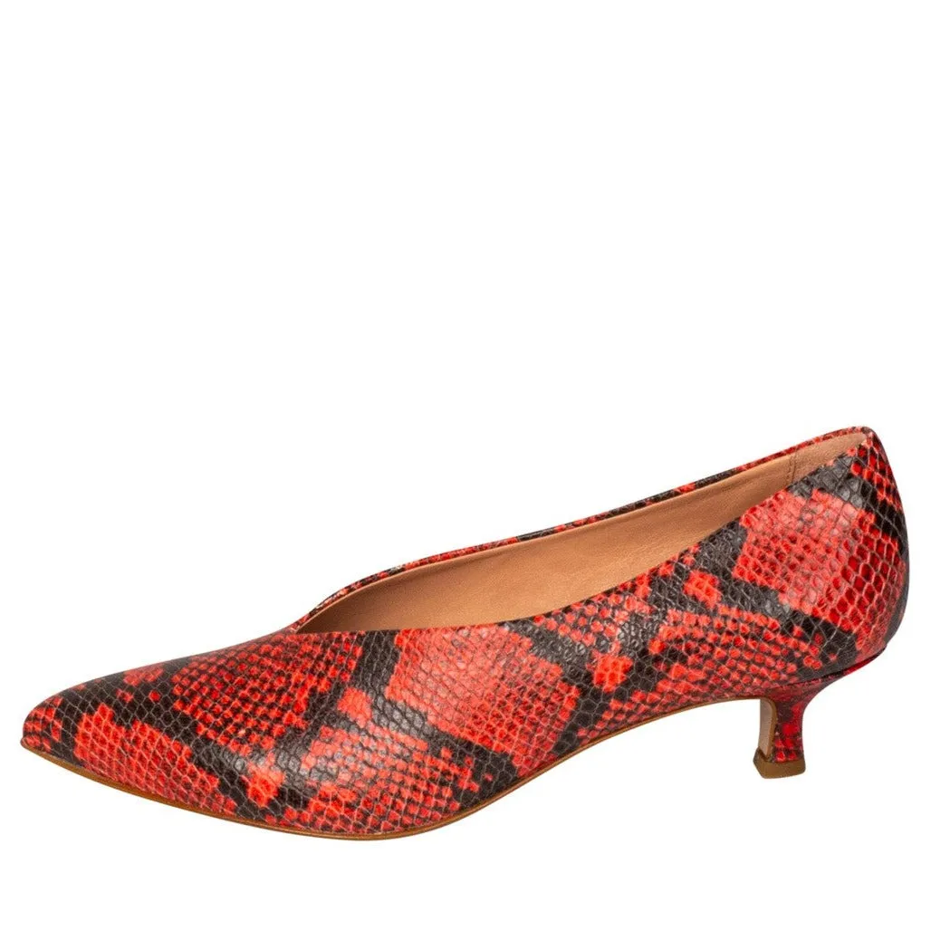 VICTORIA Manu Mari Kitten Heel Pumps